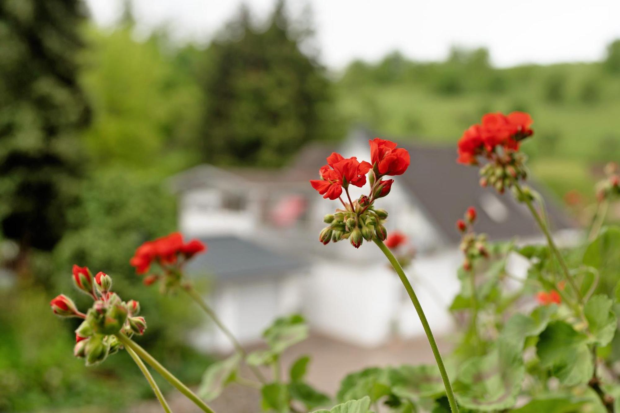 Ferienwohnung Serr Lauf エクステリア 写真